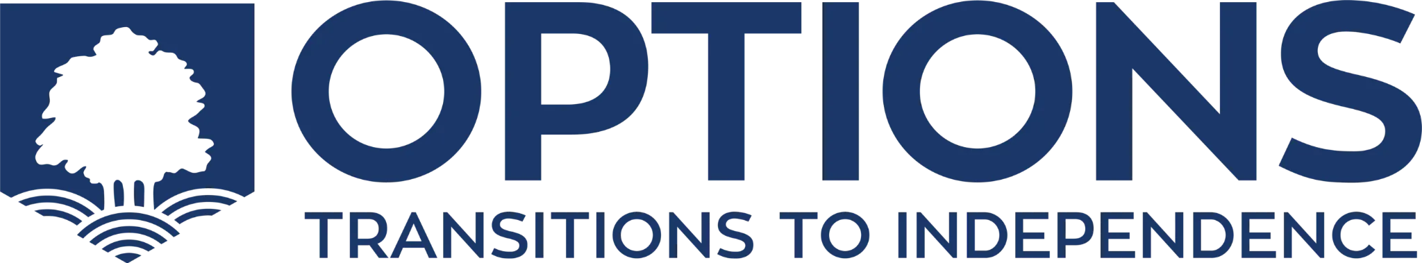 OPTIONS Transitions to Independence