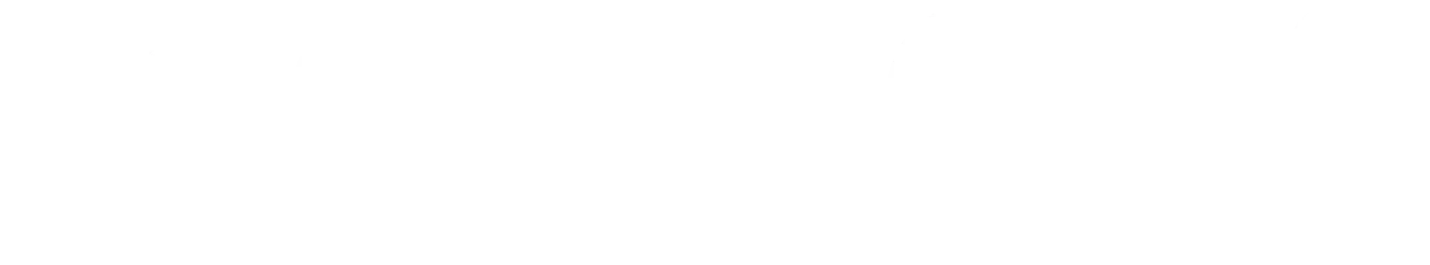 OPTIONS Transitions to Independence