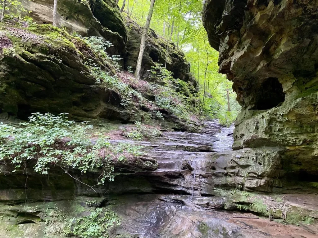 OPTIONS students exploring recreation in Southern Illinois