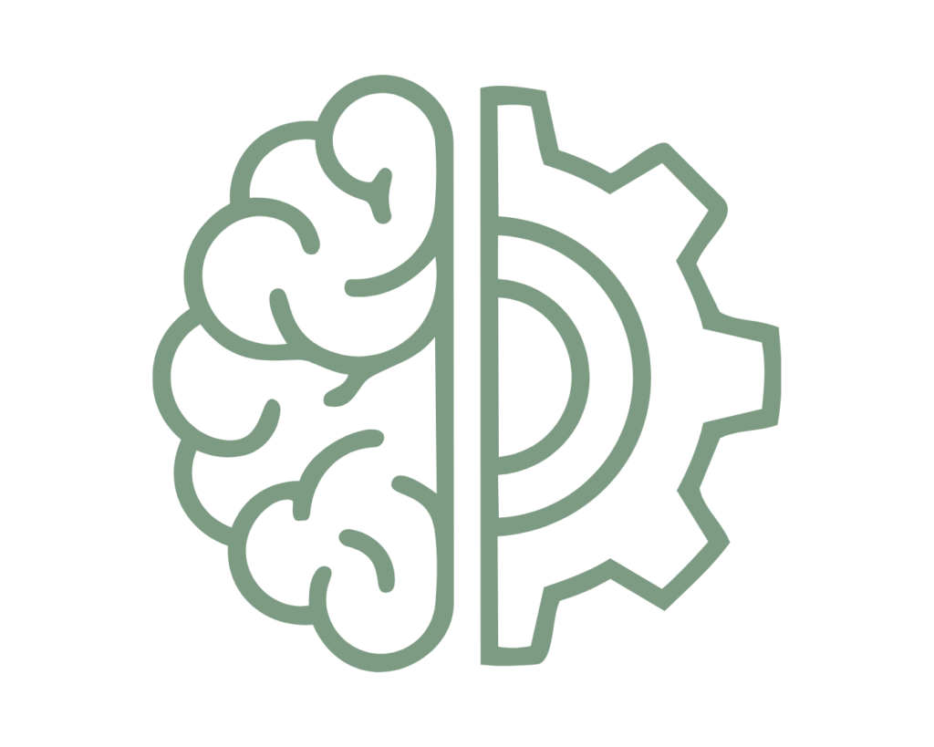 Executive functioning strategy development at OPTIONS