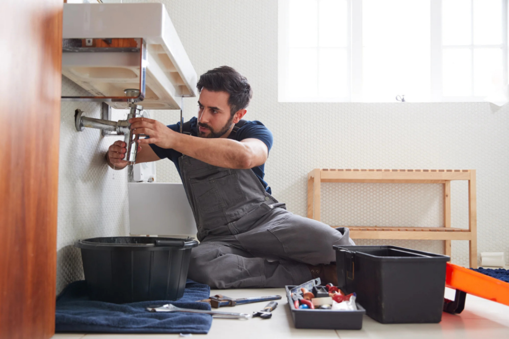 Household management and home maintenance skills